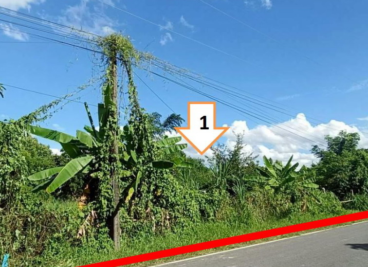 ขายทอดตลาด ที่ดินว่างเปล่า ต.โนนสูง อ.เมืองอุดรธานี จ.อุดรธานี