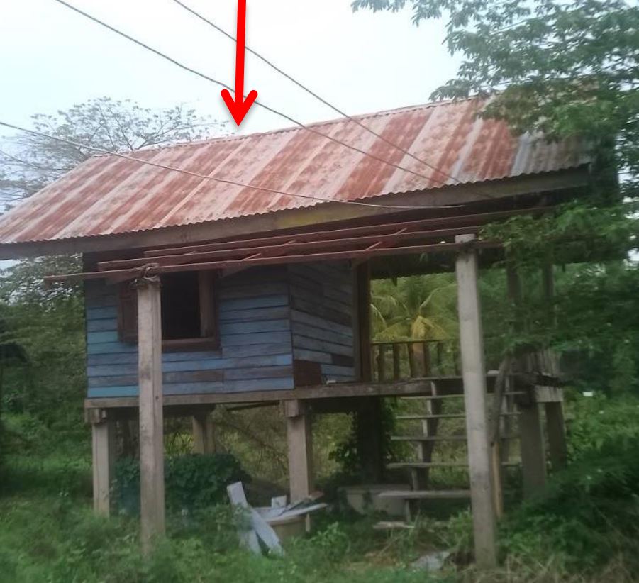 ขายทอดตลาด ที่ดินพร้อมสิ่งปลูกสร้าง ต.ข้าวสาร อ.บ้านผือ จ.อุดรธานี