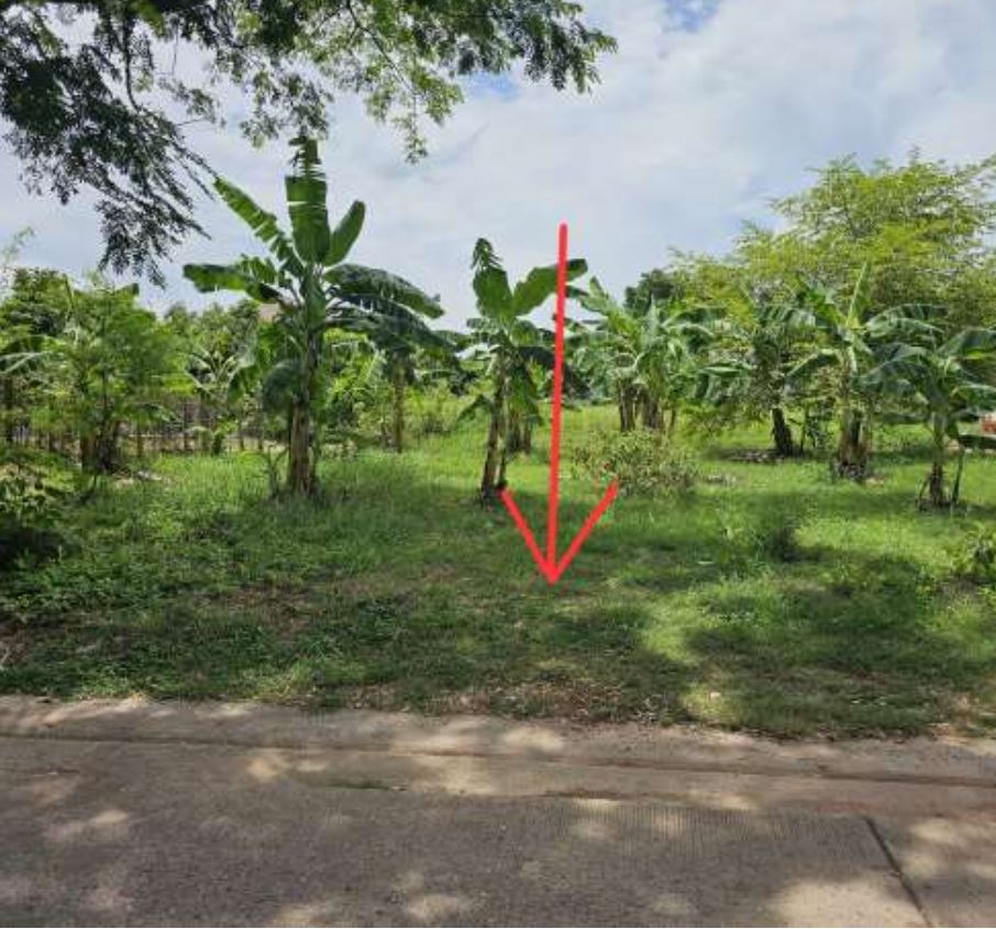 ขายทอดตลาด ที่ดินว่างเปล่า ต.หนองขอนกว้าง อ.เมืองอุดรธานี จ.อุดรธานี