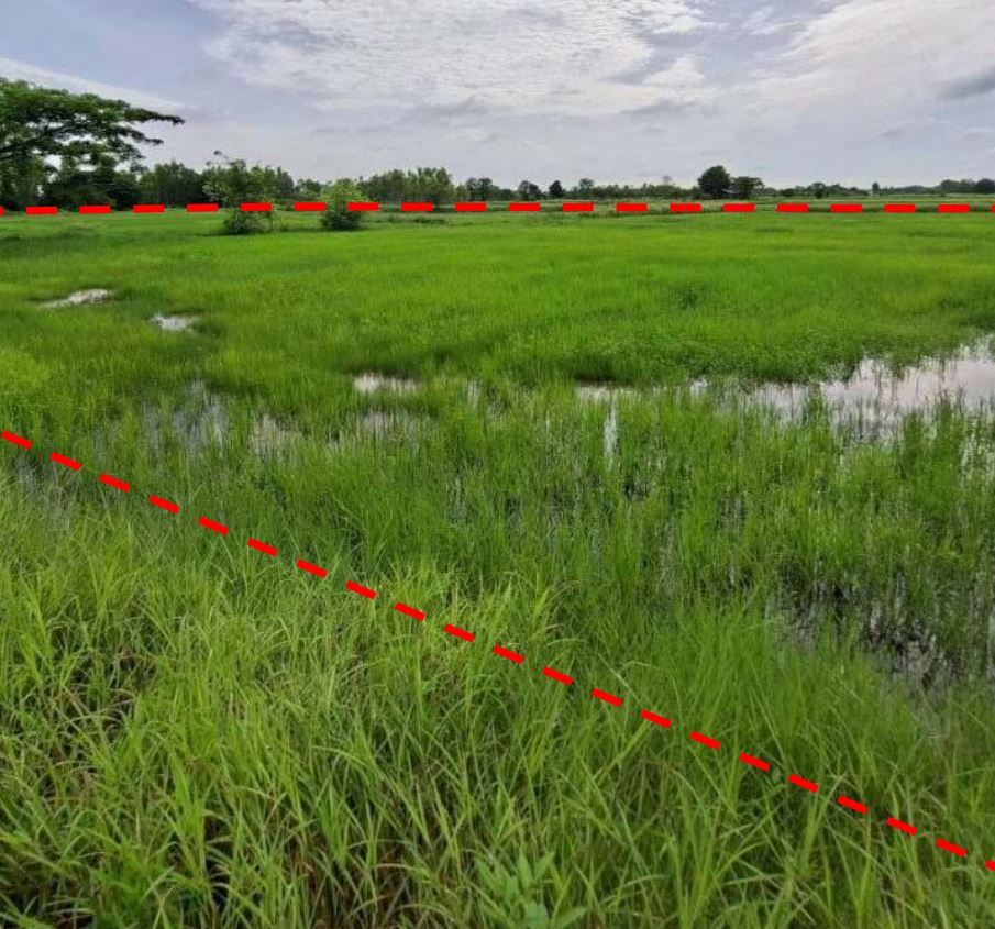 ขายทอดตลาด ที่ดินว่างเปล่า ต.เชียงยืน อ.เมืองอุดรธานี จ.อุดรธานี