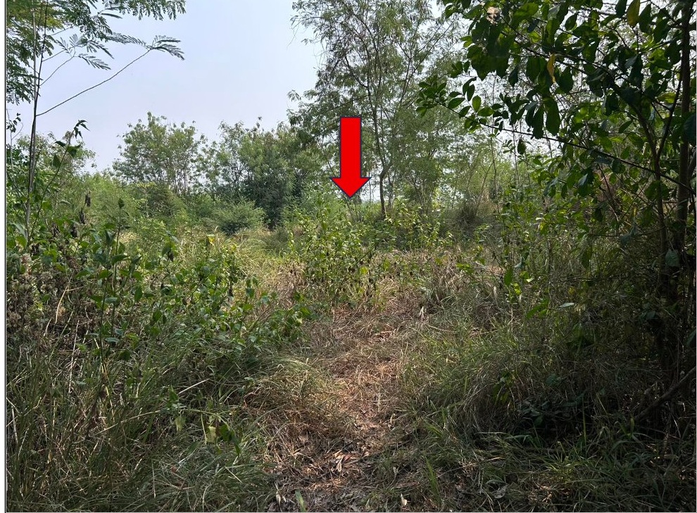 ขายทอดตลาด ที่ดินว่างเปล่า ต.ท่าพระ อ.เมืองขอนแก่น จ.ขอนแก่น