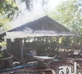 รูปทรัพย์ 2