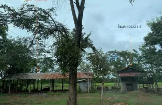 รูปทรัพย์ 4