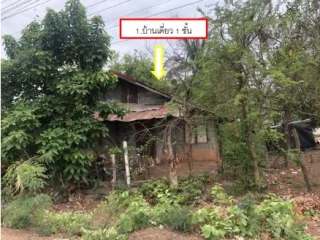 รูปทรัพย์ 2