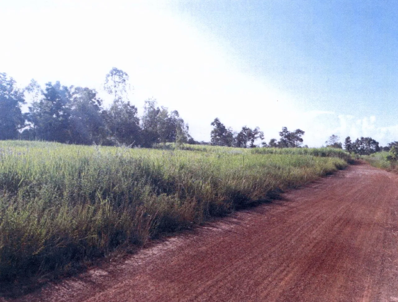 ขายทอดตลาด ที่ดินว่างเปล่า ต.สามัคคี อ.น้ำโสม จ.อุดรธานี