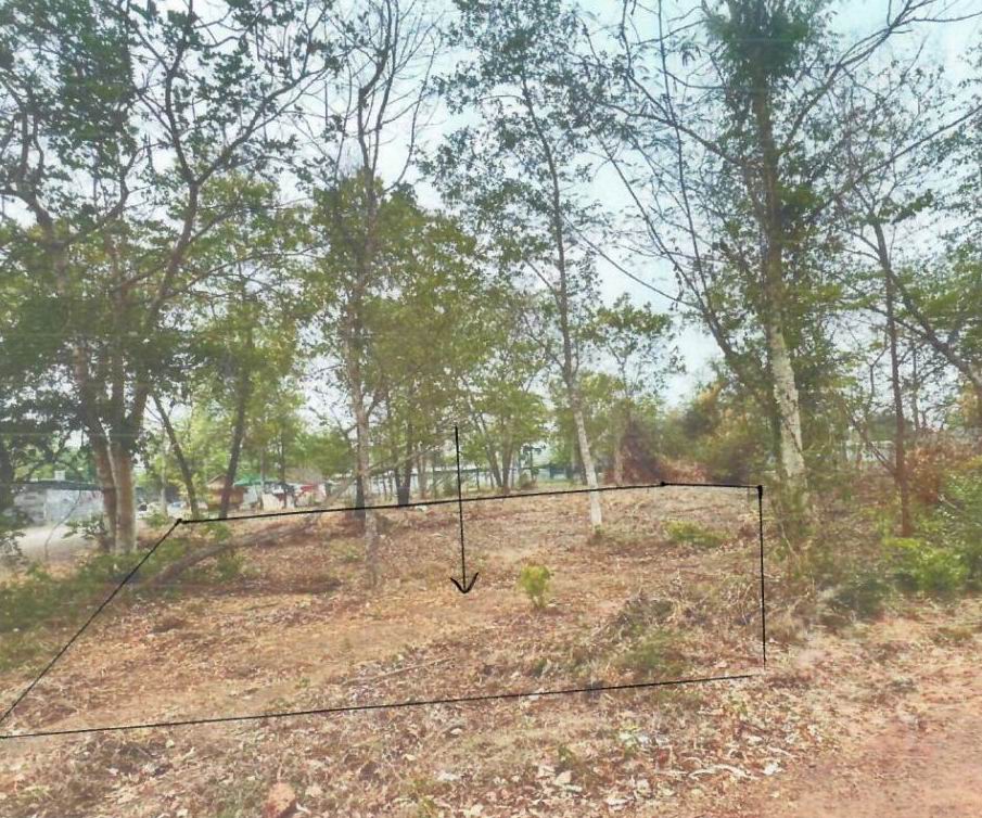 ขายทอดตลาด ที่ดินว่างเปล่า ต.หนองไผ่ อ.เมืองอุดรธานี จ.อุดรธานี
