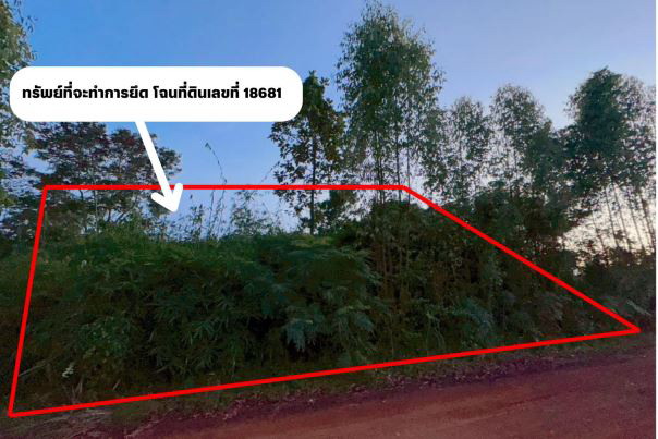 ขายทอดตลาด ที่ดินว่างเปล่า ต.หายโศก อ.บ้านผือ จ.อุดรธานี