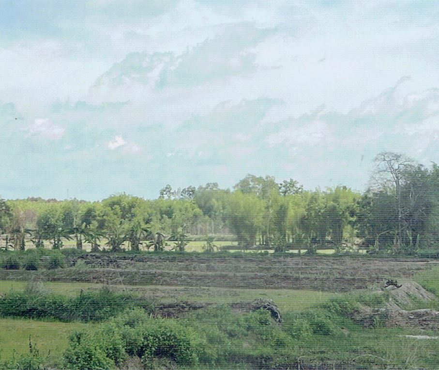 ขายทอดตลาด ที่ดินว่างเปล่า ต.นาชุมแสง อ.ทุ่งฝน จ.อุดรธานี