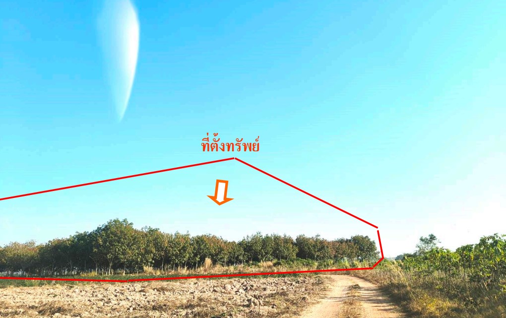 ขายทอดตลาด ที่ดินพร้อมสิ่งปลูกสร้าง ต.ทมนางาม อ.โนนสะอาด จ.อุดรธานี