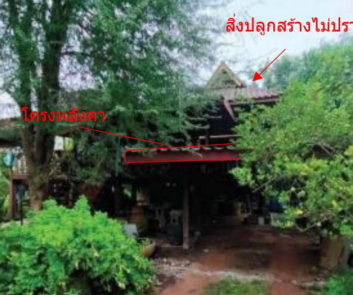 ขายทอดตลาด ที่ดินพร้อมสิ่งปลูกสร้าง ต.เชียงพิณ อ.เมืองอุดรธานี จ.อุดรธานี