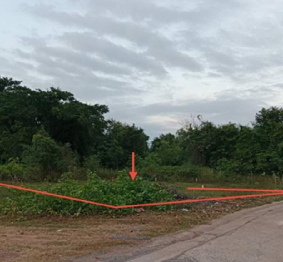 ขายทอดตลาด ที่ดินว่างเปล่า ต.สามพร้าว อ.เมืองอุดรธานี จ.อุดรธานี