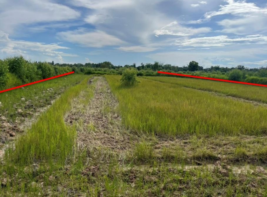 ขายทอดตลาด ที่ดินว่างเปล่า ต.ทุ่งฝน อ.ทุ่งฝน จ.อุดรธานี