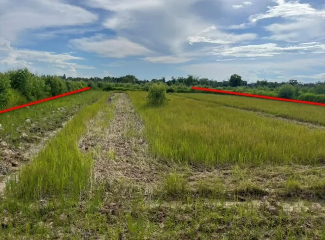 ขายทอดตลาด ที่ดินว่างเปล่า ต.ทุ่งฝน อ.ทุ่งฝน จ.อุดรธานี