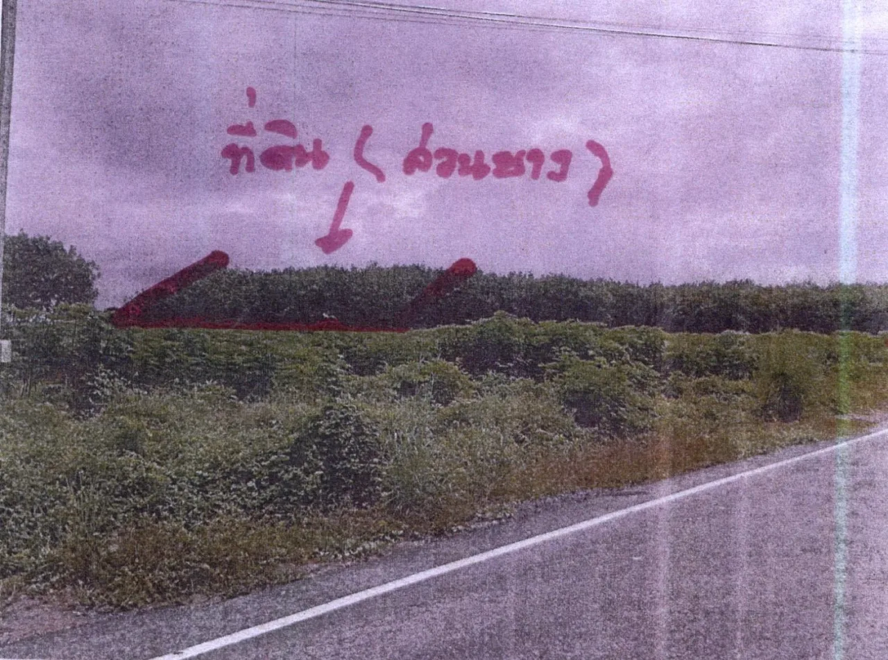 ขายทอดตลาด ที่ดินว่างเปล่า ต.หนองบัวบาน อ.หนองวัวซอ จ.อุดรธานี