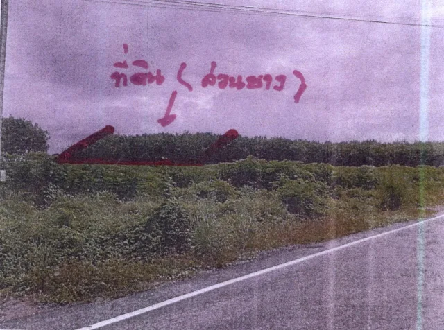 ขายทอดตลาด ที่ดินว่างเปล่า ต.หนองบัวบาน อ.หนองวัวซอ จ.อุดรธานี