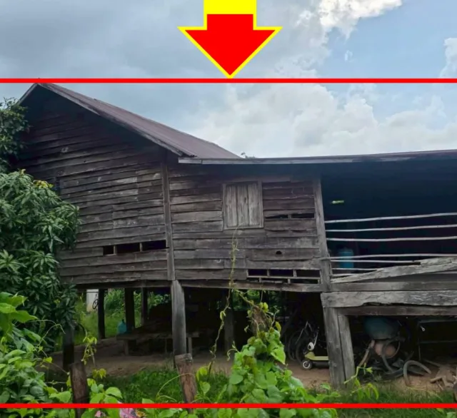 ขายทอดตลาด ที่ดินพร้อมสิ่งปลูกสร้าง ต.หนองไผ่ อ.เมืองอุดรธานี จ.อุดรธานี