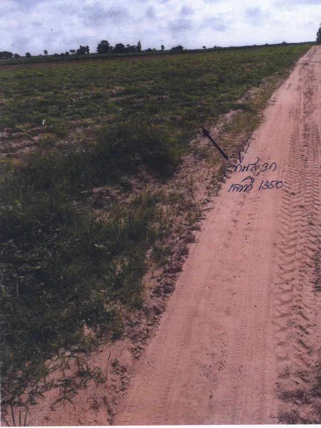 ขายทอดตลาด ที่ดินว่างเปล่า ต.นาดี อ.หนองแสง จ.อุดรธานี