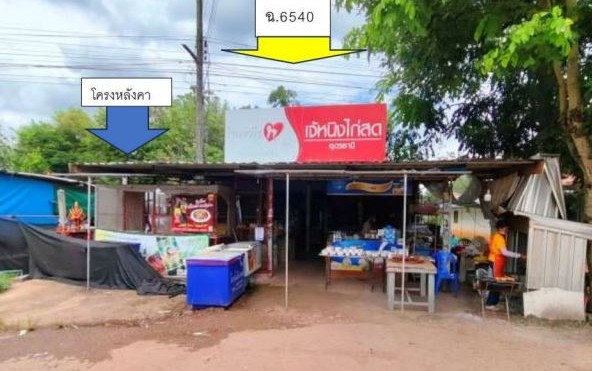 ขายทอดตลาด ที่ดินพร้อมสิ่งปลูกสร้าง ต.ท่าลี่ อ.กุมภวาปี จ.อุดรธานี