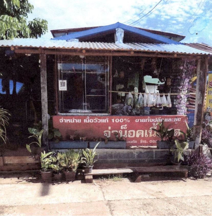 ขายทอดตลาด ที่ดินพร้อมสิ่งปลูกสร้าง ต.บ้านม่วง อ.บ้านดุง จ.อุดรธานี