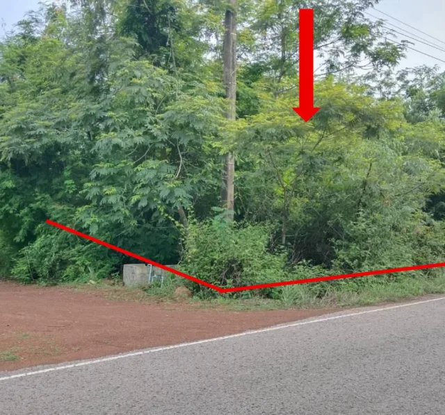 ขายทอดตลาด ที่ดินว่างเปล่า ต.เพ็ญ อ.เพ็ญ จ.อุดรธานี