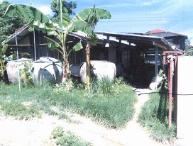 ขายทอดตลาด ที่ดินพร้อมสิ่งปลูกสร้าง ต.บ้านค้อ อ.เมืองขอนแก่น จ.ขอนแก่น