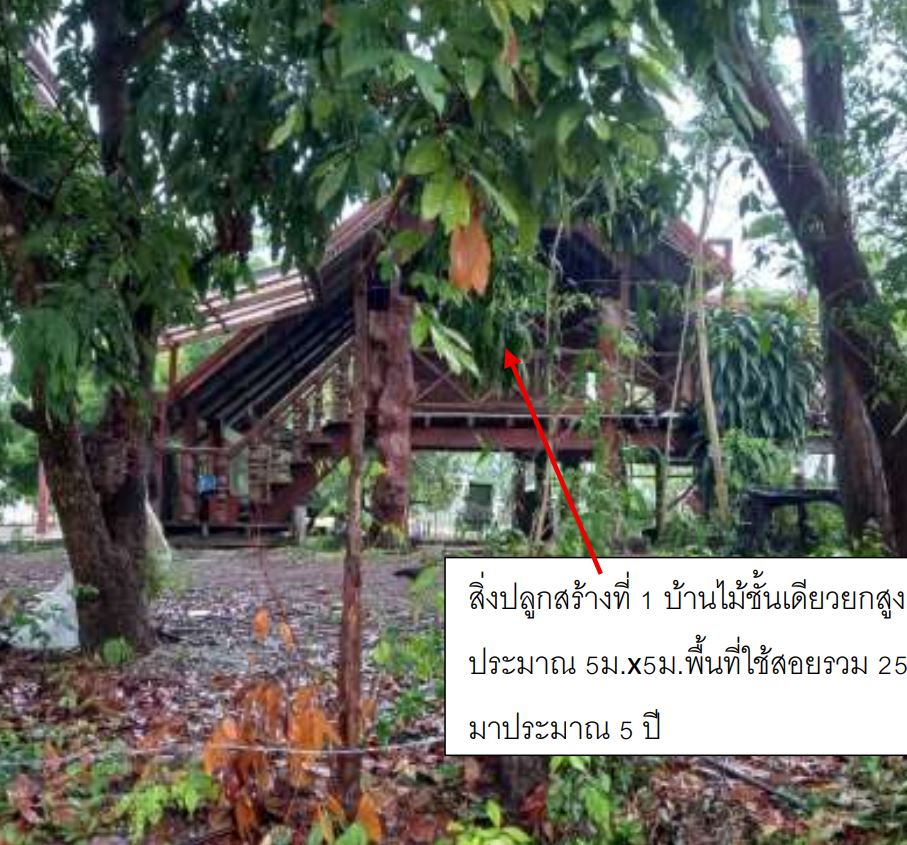 ขายทอดตลาด ที่ดินพร้อมสิ่งปลูกสร้าง ต.บ้านธาตุ อ.เพ็ญ จ.อุดรธานี