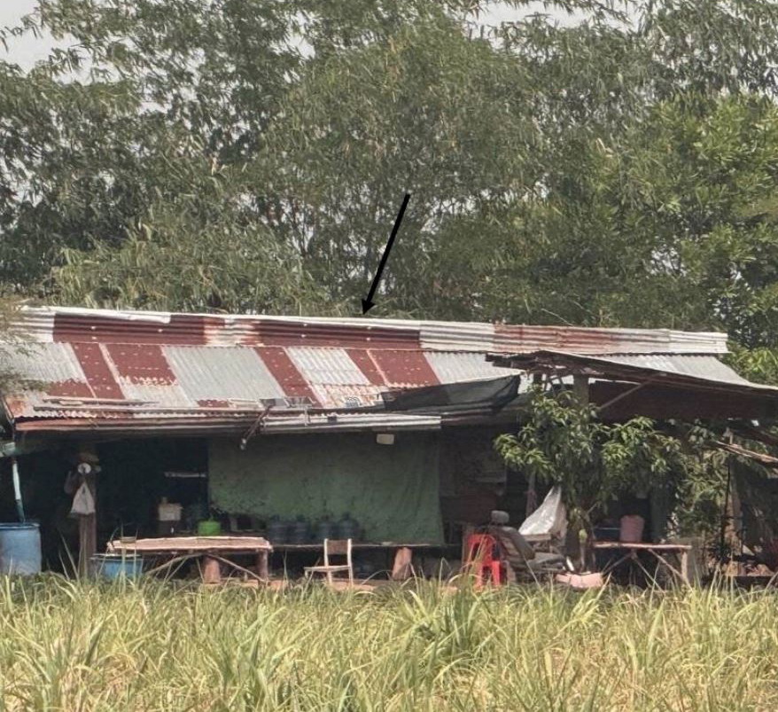 ขายทอดตลาด ที่ดินพร้อมสิ่งปลูกสร้าง ต.คำโคกสูง อ.วังสามหมอ จ.อุดรธานี