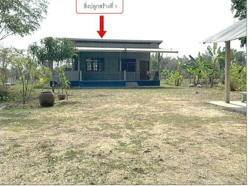 ขายทอดตลาด ที่ดินพร้อมสิ่งปลูกสร้าง ต.เชียงยืน อ.เมืองอุดรธานี จ.อุดรธานี