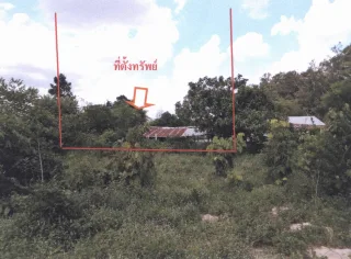 รูปทรัพย์ 1