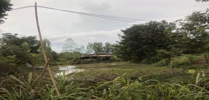 ขายทอดตลาด ที่ดินพร้อมสิ่งปลูกสร้าง ต.บ้านตาด อ.เมืองอุดรธานี จ.อุดรธานี