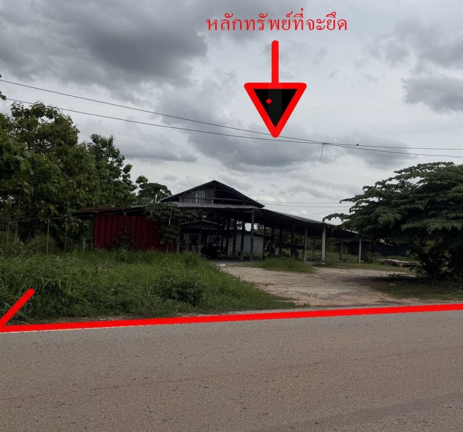 ขายทอดตลาด ที่ดินพร้อมสิ่งปลูกสร้าง ต.โพนสูง อ.ไชยวาน จ.อุดรธานี