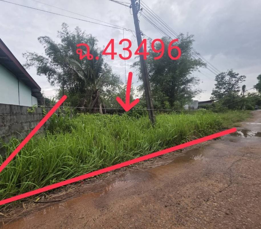 ขายทอดตลาด ที่ดินว่างเปล่า ต.บ้านจันทน์ อ.บ้านดุง จ.อุดรธานี