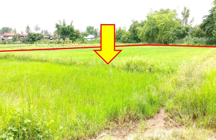 ขายทอดตลาด ที่ดินว่างเปล่า ต.กลางใหญ่ อ.บ้านผือ จ.อุดรธานี