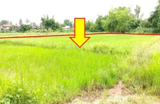 รูปทรัพย์ 1