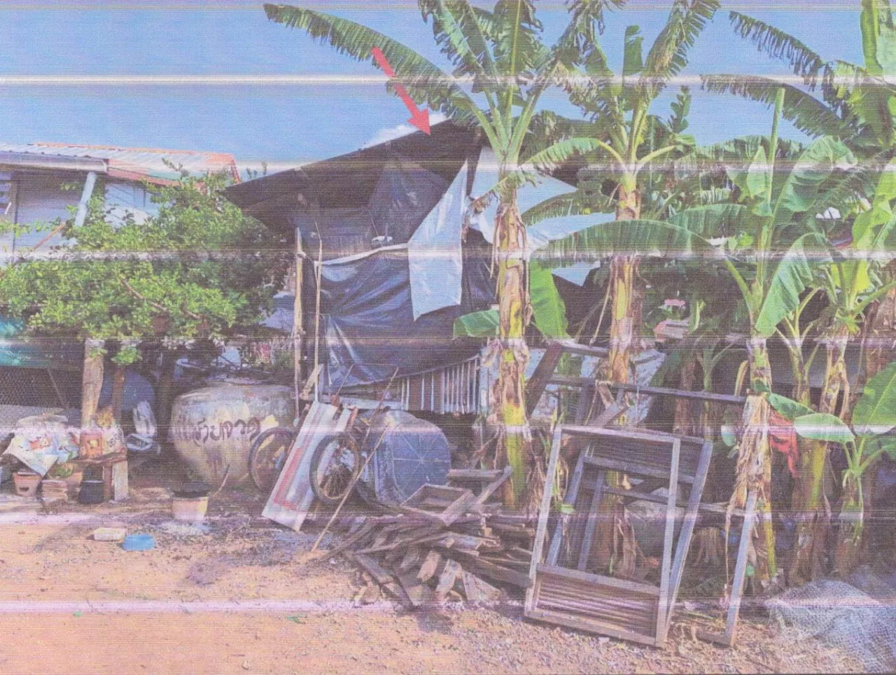 ขายทอดตลาด ที่ดินพร้อมสิ่งปลูกสร้าง ต.ชีลอง อ.เมืองชัยภูมิ จ.ชัยภูมิ