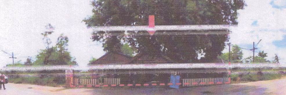 ขายทอดตลาด ที่ดินพร้อมสิ่งปลูกสร้าง ต.ในเมือง อ.เมืองชัยภูมิ จ.ชัยภูมิ