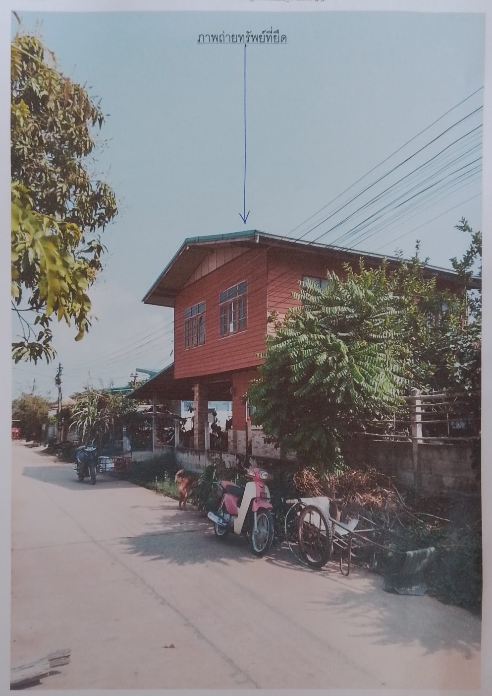 ขายทอดตลาด ที่ดินพร้อมสิ่งปลูกสร้าง ต.บ้านเหล่า อ.บ้านฝาง จ.ขอนแก่น
