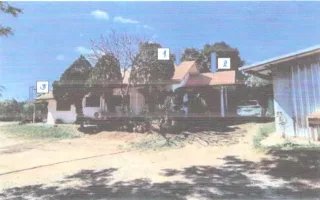 รูปทรัพย์ 2