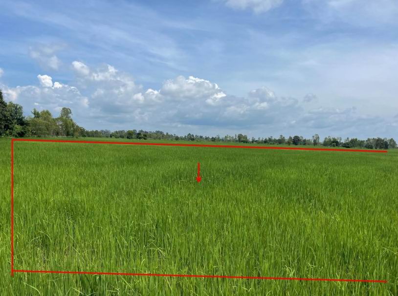 ขายทอดตลาด ที่ดินว่างเปล่า ต.กมลาไสย อ.กมลาไสย จ.กาฬสินธุ์