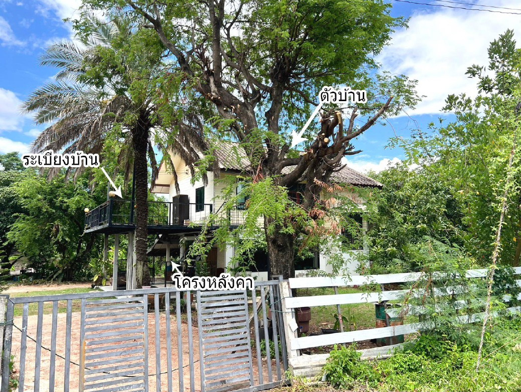 ขายทอดตลาด ที่ดินพร้อมสิ่งปลูกสร้าง ต.หนองไผ่ อ.เมืองชัยภูมิ จ.ชัยภูมิ