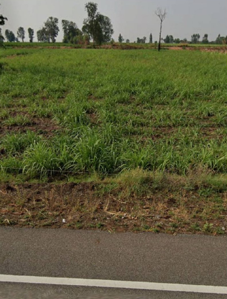 ขายทอดตลาด ที่ดินว่างเปล่า ต.กะฮาด อ.เนินสง่า จ.ชัยภูมิ