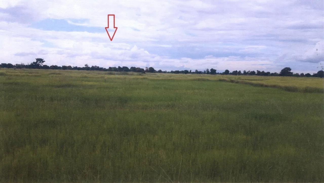 ขายทอดตลาด ที่ดินว่างเปล่า ต.ยางหวาย อ.คอนสวรรค์ จ.ชัยภูมิ