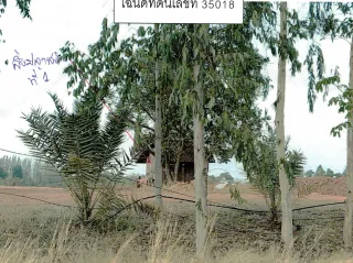 รูปทรัพย์ 2