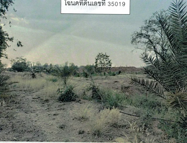 ขายทอดตลาด ที่ดินพร้อมสิ่งปลูกสร้าง ต.ส้มป่อย อ.จัตุรัส จ.ชัยภูมิ