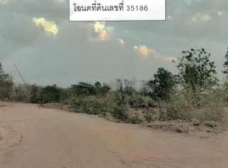 รูปทรัพย์ 2