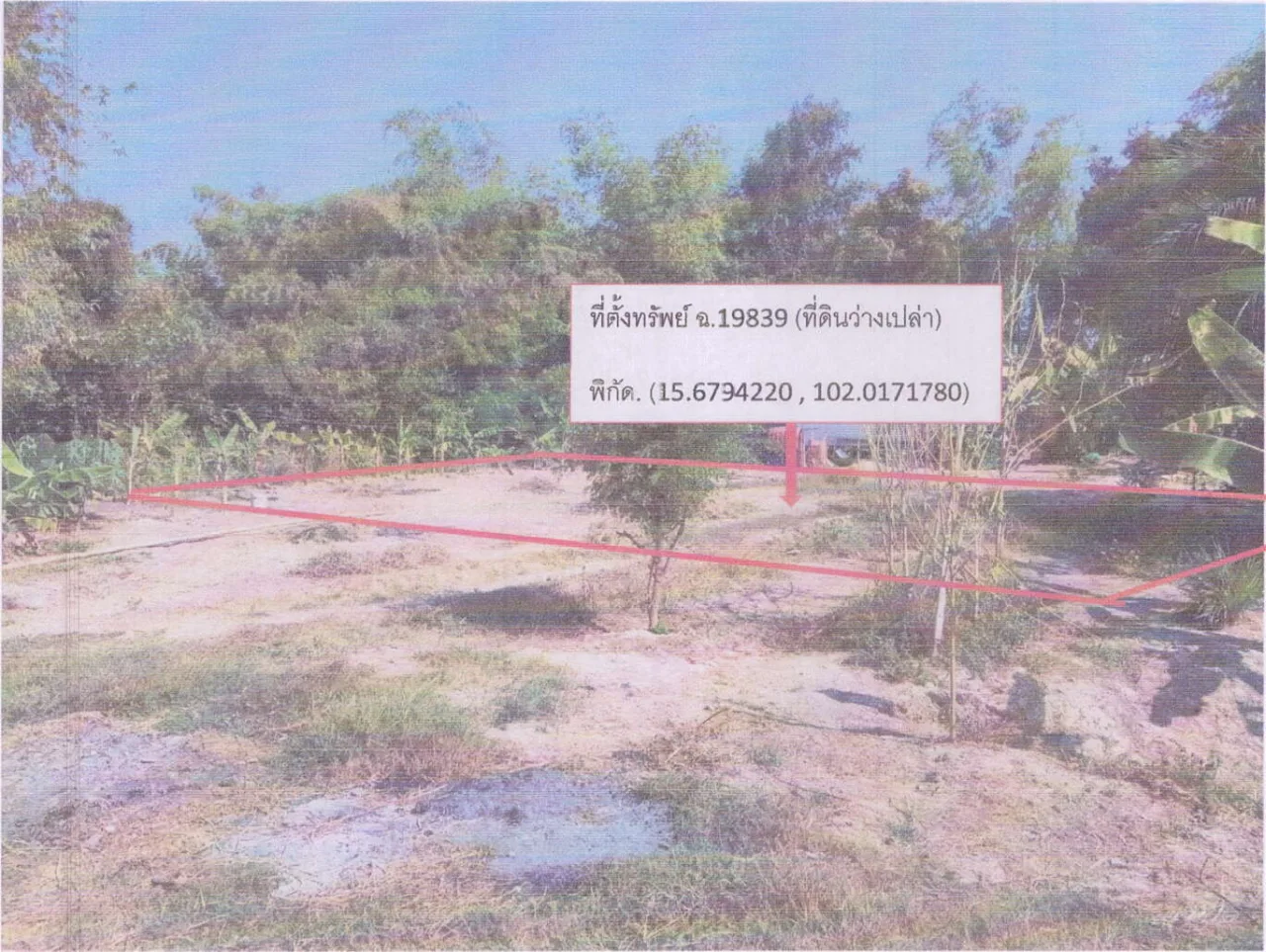 ขายทอดตลาด ที่ดินว่างเปล่า ต.กะฮาด อ.เนินสง่า จ.ชัยภูมิ