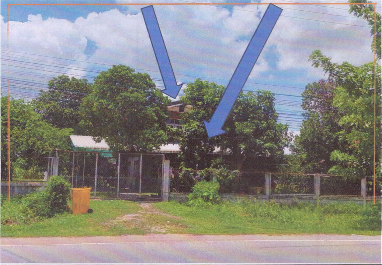 ขายทอดตลาด ที่ดินพร้อมสิ่งปลูกสร้าง ต.บ้านเขว้า อ.บ้านเขว้า จ.ชัยภูมิ