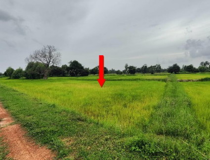 ขายทอดตลาด ที่ดินว่างเปล่า ต.โคกสมบูรณ์ อ.กมลาไสย จ.กาฬสินธุ์