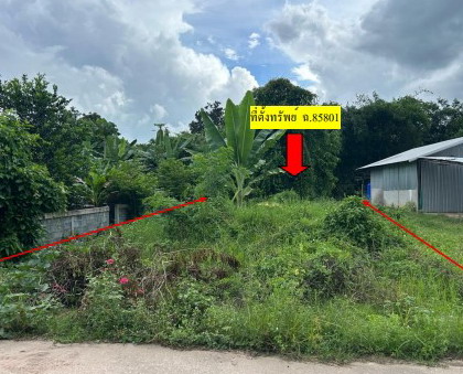 ขายทอดตลาด ที่ดินว่างเปล่า ต.บัวบาน อ.ยางตลาด จ.กาฬสินธุ์