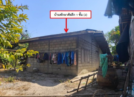 ขายทอดตลาด ที่ดินพร้อมสิ่งปลูกสร้าง ต.ไค้นุ่น อ.ห้วยผึ้ง จ.กาฬสินธุ์